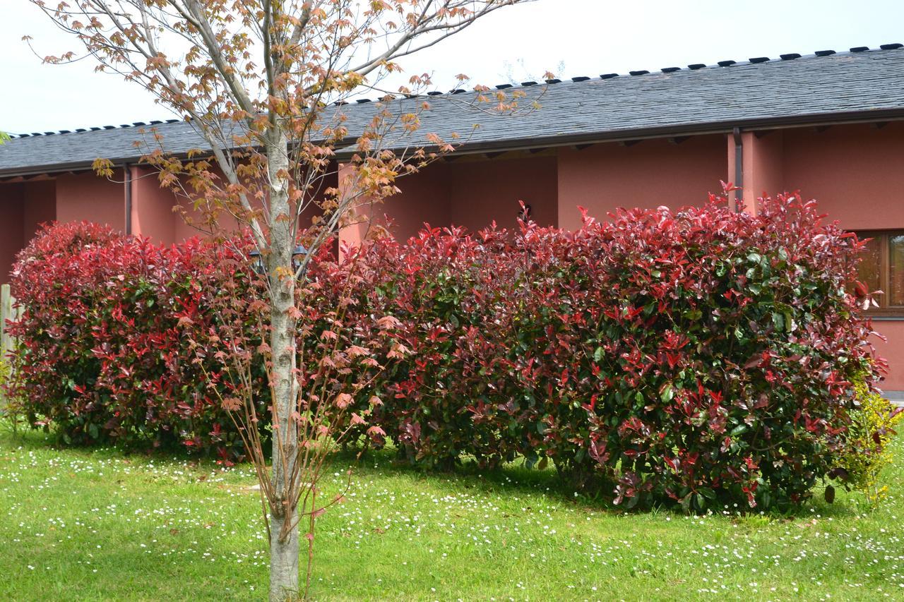 Apartamentos El Guindal Tapia De Casariego Exteriér fotografie